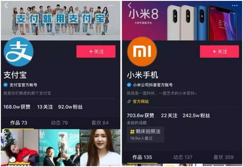 揭秘百度抖音月付取现，轻松赚钱新方式，你了解多少？