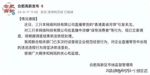 揭秘凤阳抖音月付套现，到账时间大揭秘！