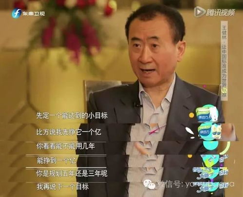 王健林致富行业背后的故事与梗谈