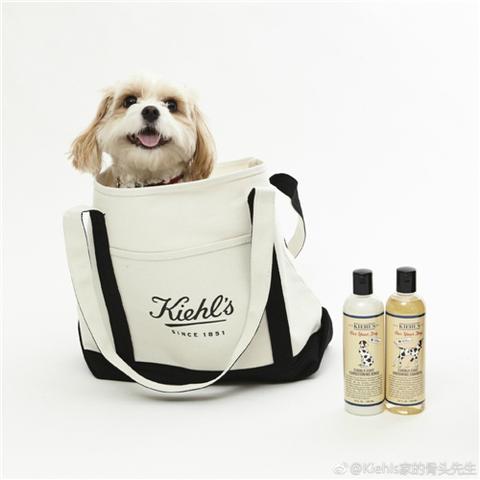日化品牌化妆品的全面解析
