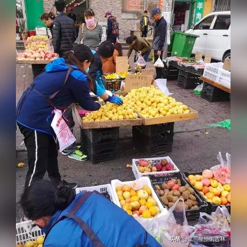 吉林种什么水果致富之路，探索与案例解析