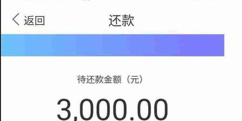 蜂鸟花呗轻松提现攻略，告别卡壳，快速到账！