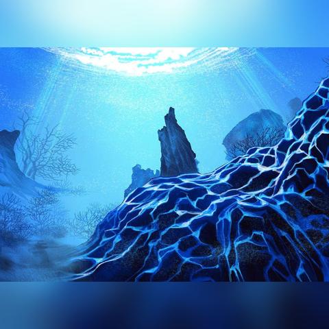 探索潜水电脑表的奥秘