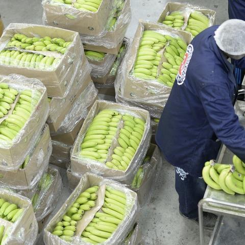 致富之路，哪些行业值得一试？