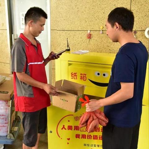 滨江区家电纸箱品牌市场分析与案例解读