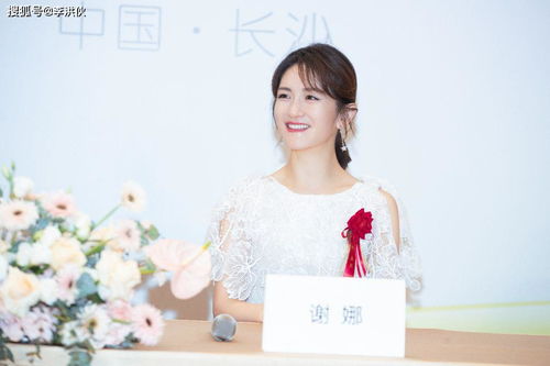 谢娜的母婴品牌—从明星到亲民妈妈的蜕变之路