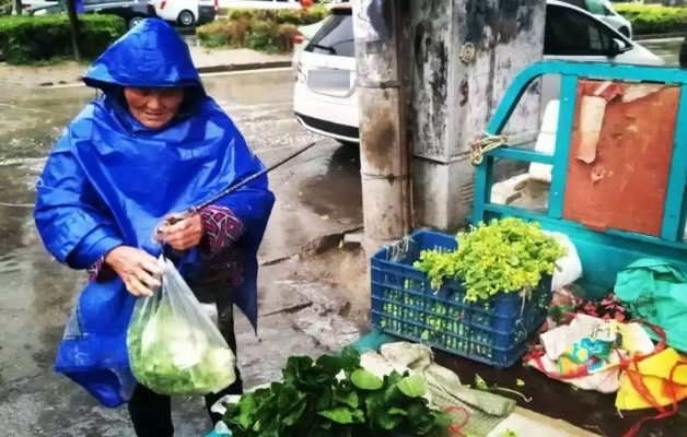 崇明卖菜如何加盟，轻松上手做生意？