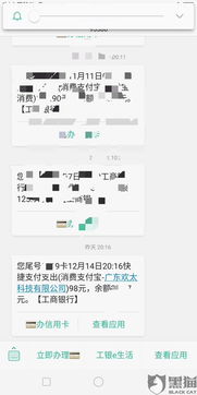 羊小咩便荔卡收款商家家提现攻略，轻松搞定资金流转！
