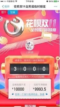 百安居花呗套出来成功，揭秘家居购物新玩法！