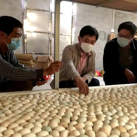 打造民生餐饮品牌孵化平台