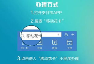 揭秘风控羊小咩享花卡套现攻略，轻松操作，安全无忧！