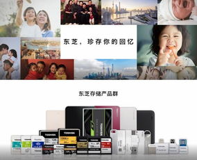 索尼东芝，日本家电品牌的全球影响力与创新精神