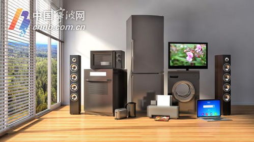 宁波品牌家电设计特色与案例解析