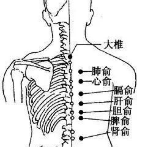 中医手法培训课程加盟全攻略，手把手教你如何加盟中医手法培训课程并成功运营