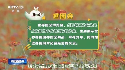 揭秘风控羊小咩享花卡提现，你的花卡提现为何受阻？