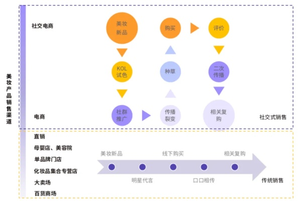 打造个性化美妆品牌，策略与案例分析