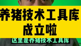 什么小技能发财致富？这些实用小技能让你轻松开启财富之门