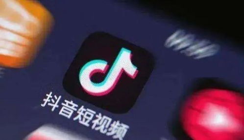 揭秘抖音月付套出来网站，揭秘背后的秘密与风险