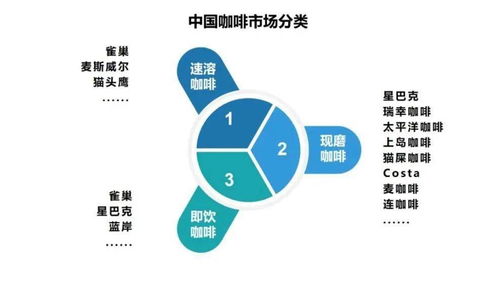 化妆品界的分线策略，品牌差异化与市场细分