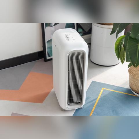 学校装修除甲醛品牌选择指南