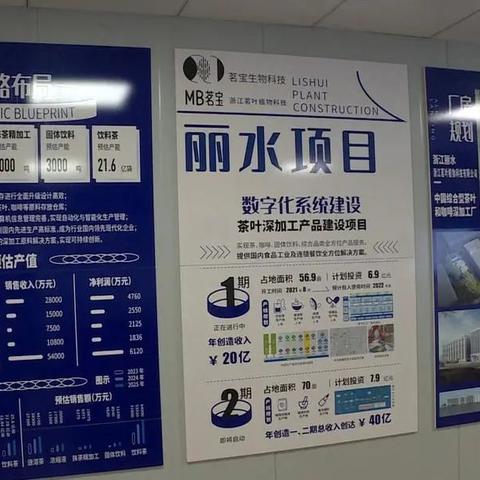 莲都区装修品牌推广方案