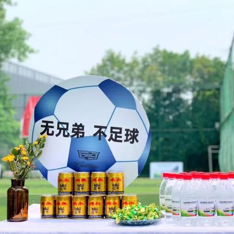汽车品牌杯子的魅力与实用指南