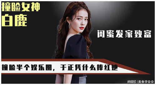 综艺致富秘籍，揭秘那些让明星一夜暴富的秘诀