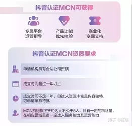 文玩赚钱秘籍，抖音如何通过内容创作实现盈利？