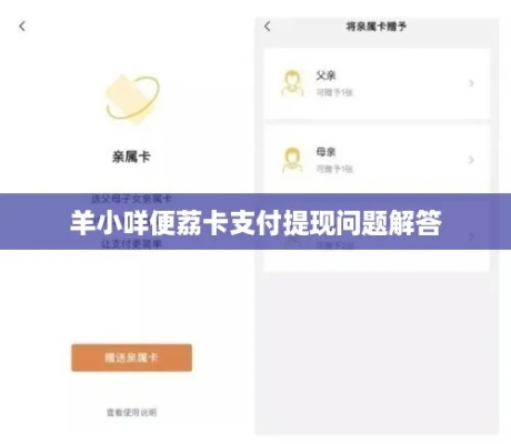 羊小咩便荔卡积分提现免手续费全攻略,申请条件、流程及避坑指南 羊小咩便荔卡积分提现免手续费全攻略,申请条件、流程及避坑指南