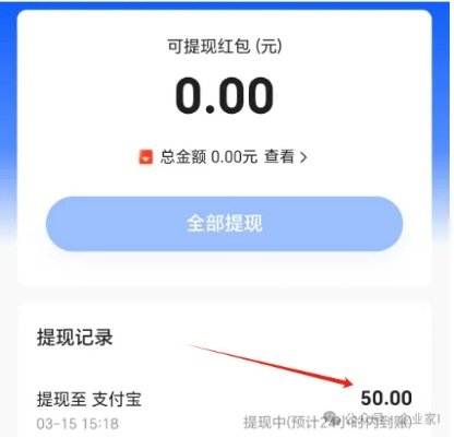 支付宝白条提现果壳全解析，常见疑问、操作技巧与风险防范指南
