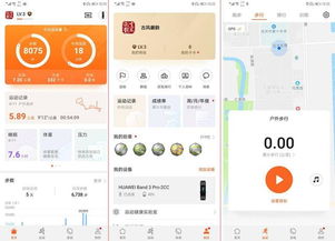 华为手机运动定位查看全攻略，GPS设置方法+常见问题+应用场景解析