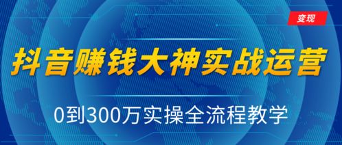 抖音专营店如何盈利揭秘赚钱秘诀，案例与策略全解析