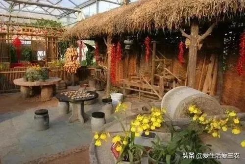农村加盟店致富指南,精选项目与成功案例解析 农村加盟店致富指南,精选项目与成功案例解析