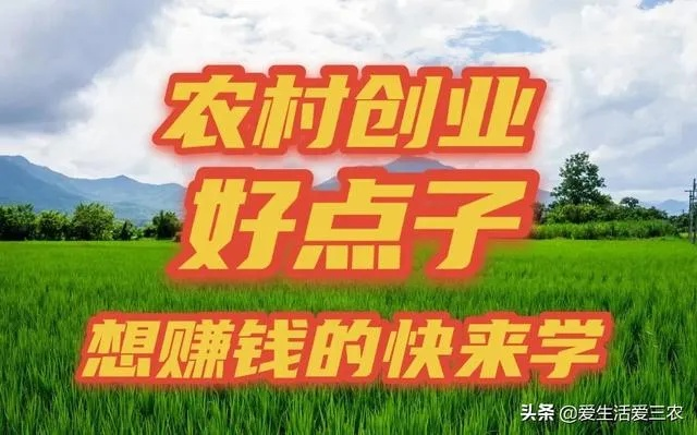 农村加盟店致富指南,精选项目与成功案例解析 农村加盟店致富指南,精选项目与成功案例解析