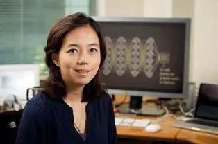 刘强东为何未能助力妹妹刘婧斐实现财富梦想? 刘强东为何未能助力妹妹刘婧斐实现财富梦想?