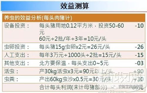小雨赚钱指南,探索网络与现实结合的多元盈利途径 小雨赚钱指南,探索网络与现实结合的多元盈利途径